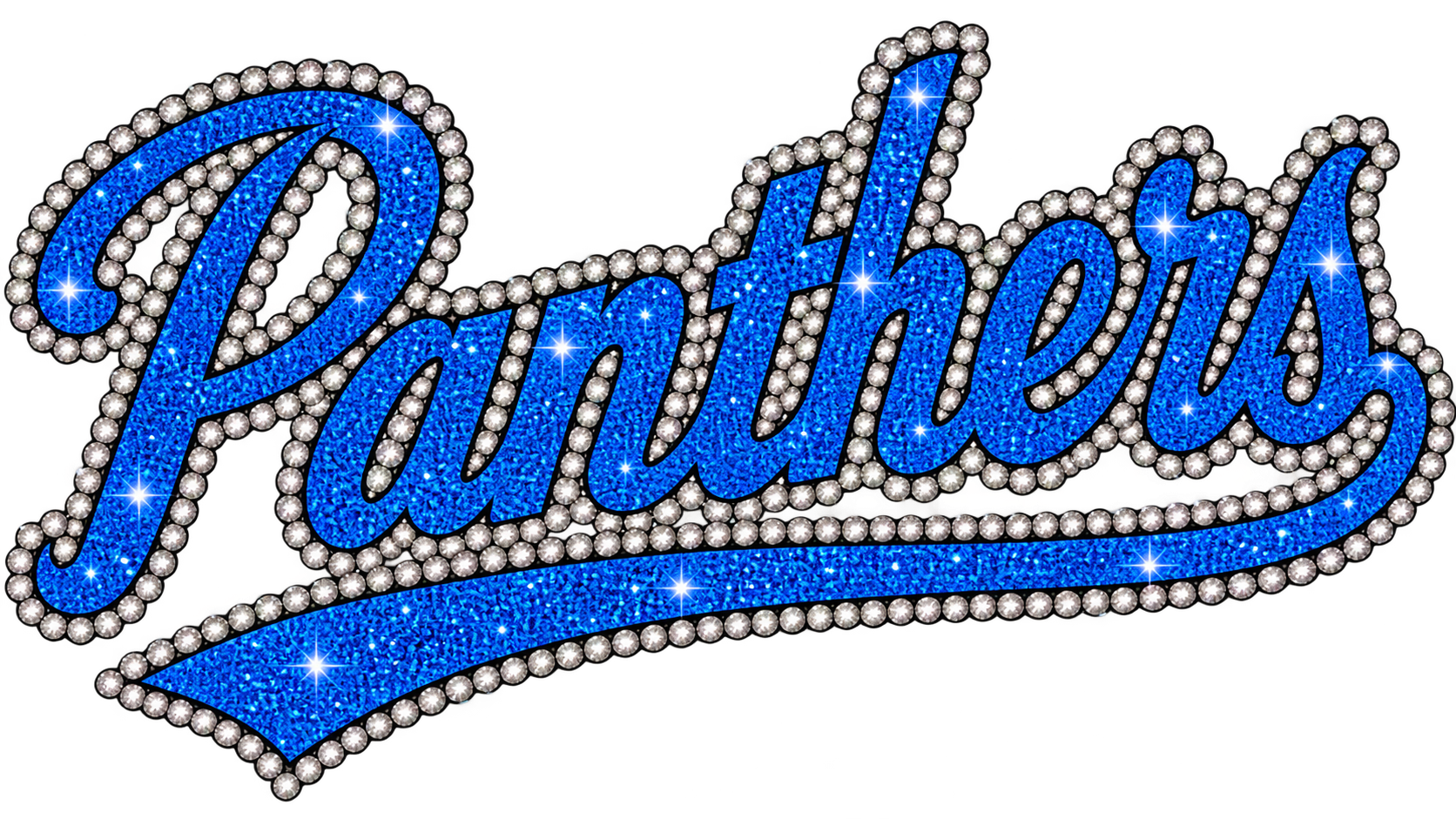 Panthers glitter and rhinestone design